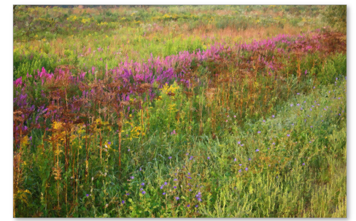 Money Paints NY - Photograph by Tom Atkins