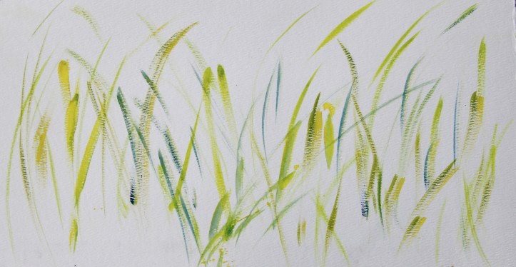 Seagrass 3 Oct 2017.JPG